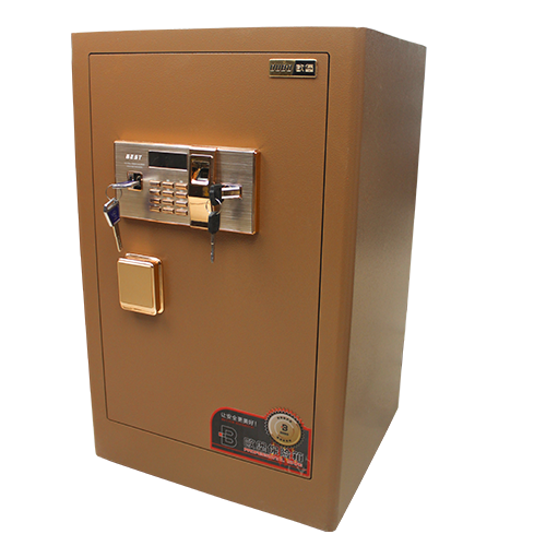 DigitalLockerHouse.com promo